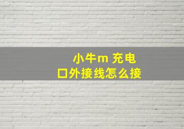 小牛m 充电口外接线怎么接